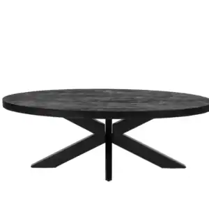 Ovale mangohouten zwarte salontafel met zwart metalen spinpoot en donker houten blad